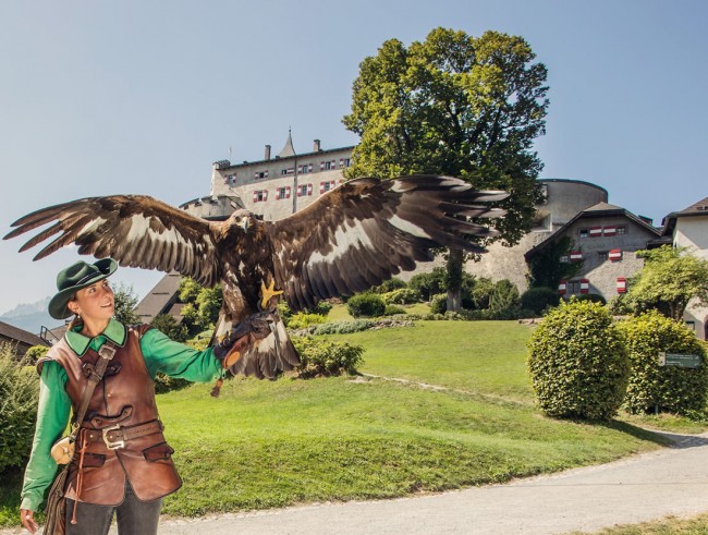 Burg Hohenwerfen  SalzburgerLand Tourismus (Bildquelle ➤ bilder.salzburgerland.com)