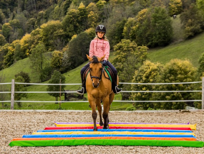 Reitunterricht im Gasteinertal