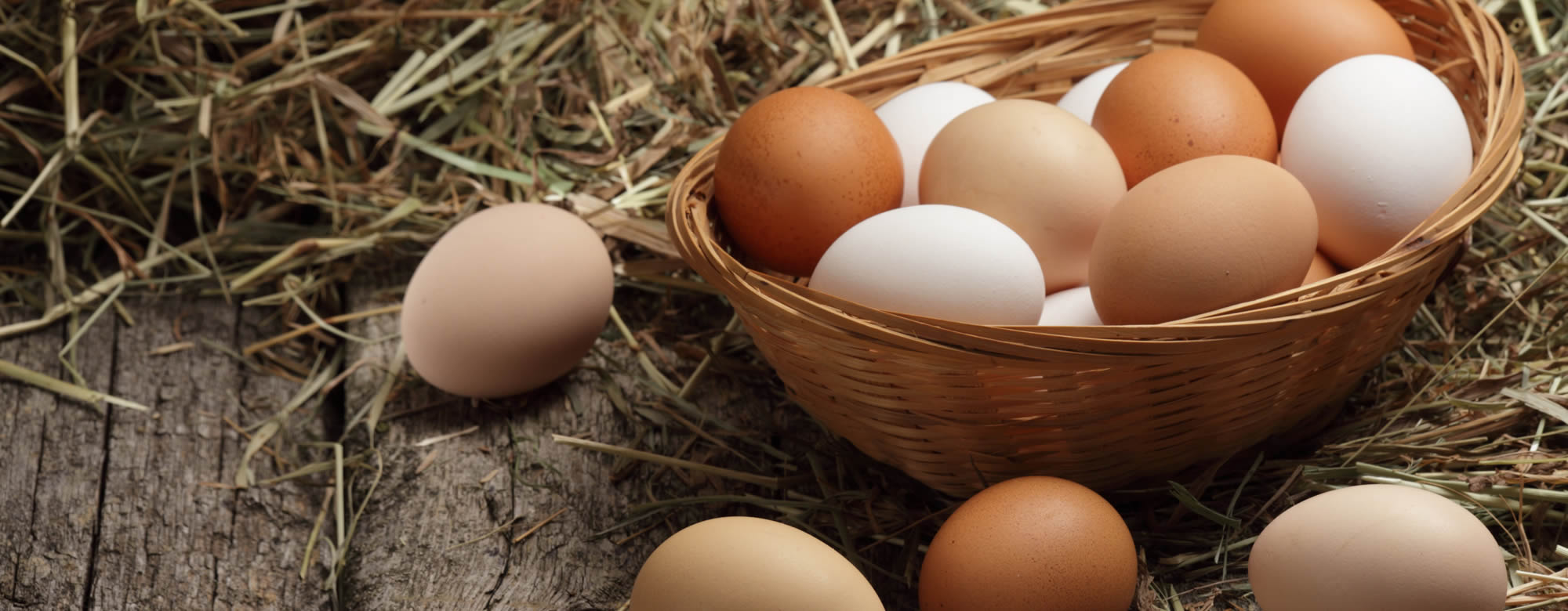Frühstücksei © shutterstock.com